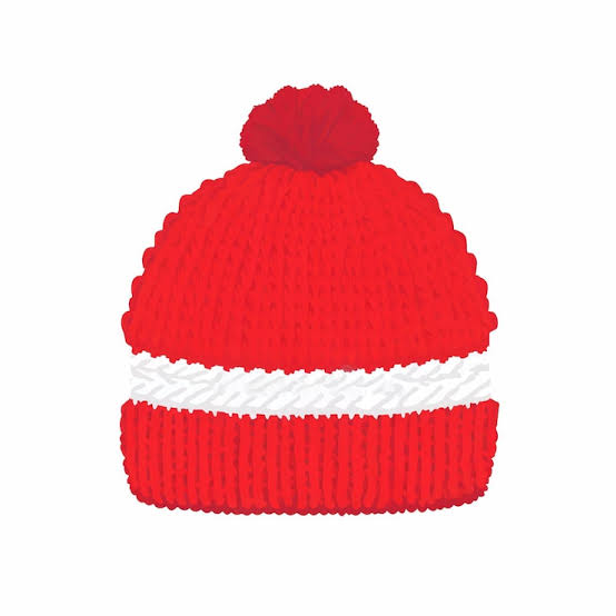 Knit Pom Beanie